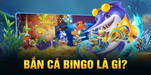 Giới thiệu về trò chơi bắn cá Bingo đang được săn đón