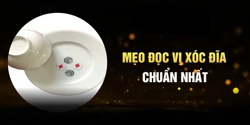 Hướng dẫn sử dụng bảng vị xóc đĩa 79KING như một chuyên gia