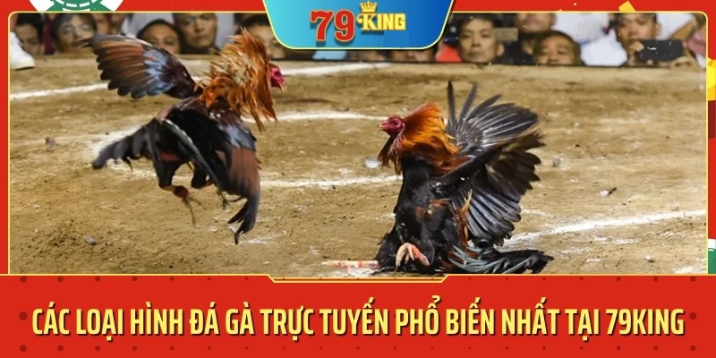 Khám phá các loại hình có tại đá gà 79KING