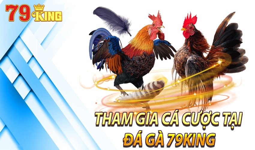 Chi tiết cách tham gia chơi tại đá gà 79KING