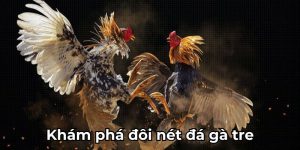 Khái niệm trực tiếp đá gà tre