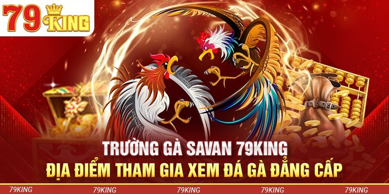 Lý do nên theo dõi trường gà Savan trên 79KING